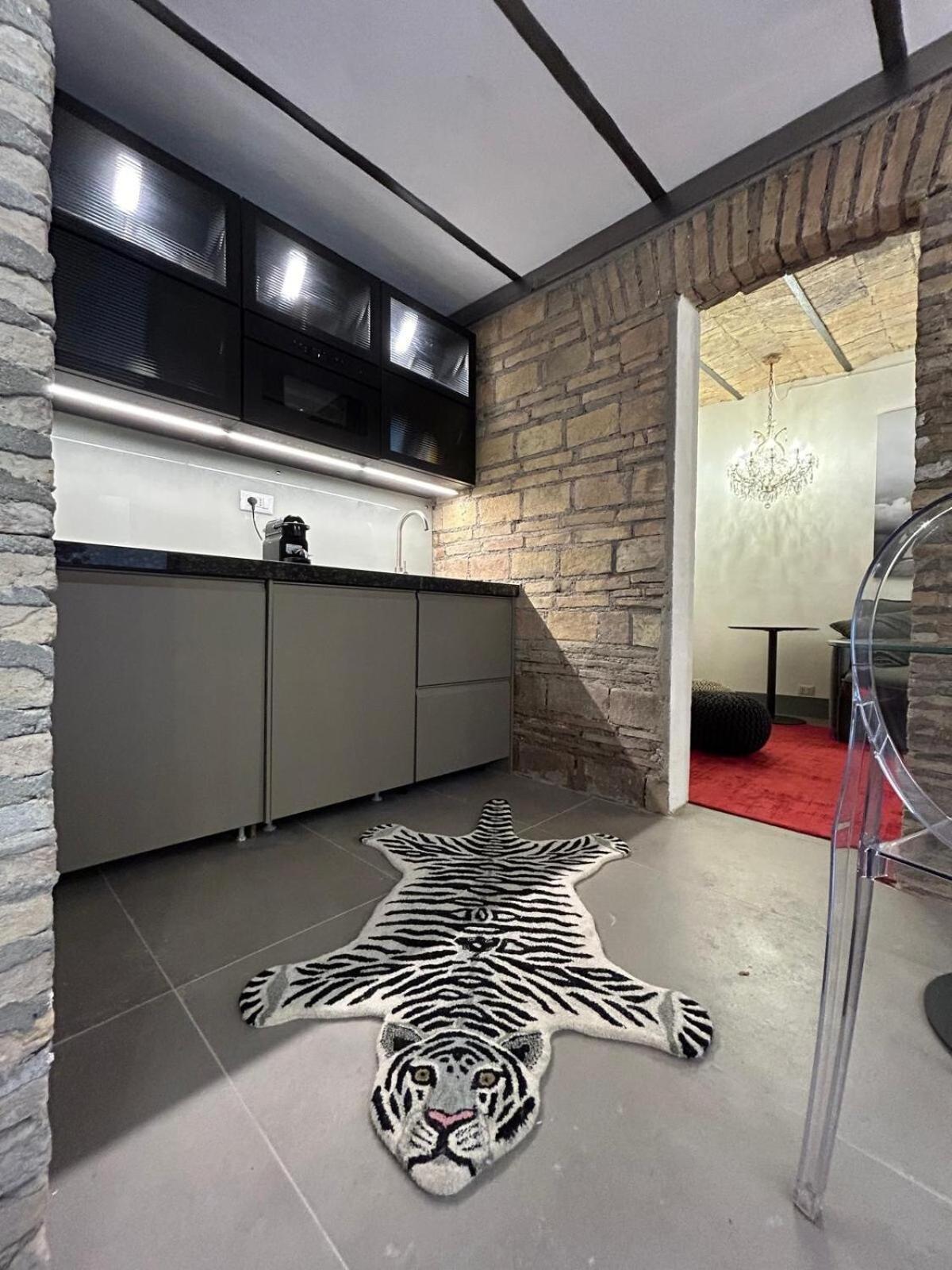 Colosseum Loft Appartamento Roma